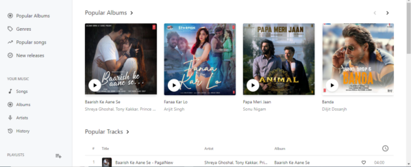 Musicania - Music Streaming Platform - Image 2