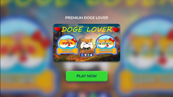 Dogee Lover: A Paw-some Adventure Awaits!
